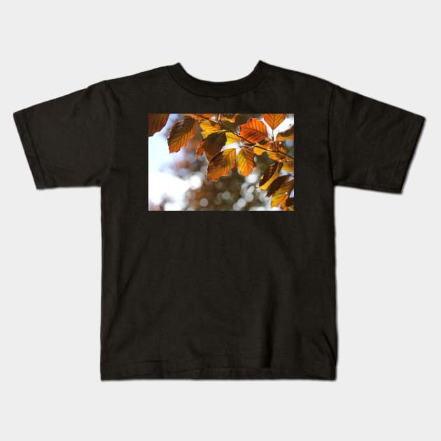 Copper Beech Kids T-Shirt by gracethescene